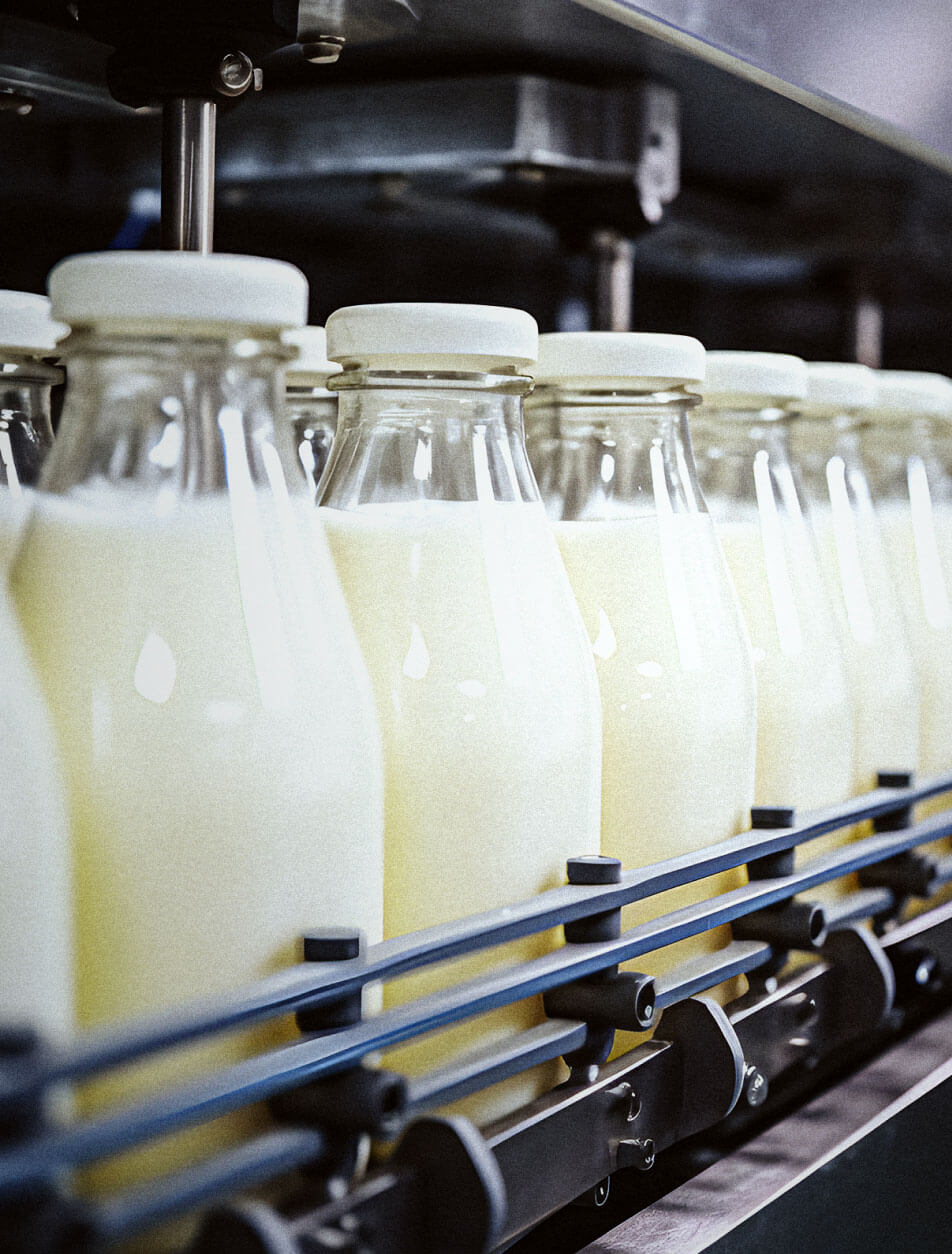 FiveFreedoms - Dairy Health